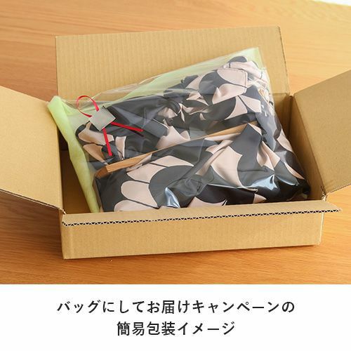 バッグにしてお届けキャンペーン